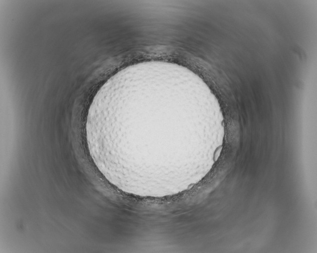 X0000110670913200907241019