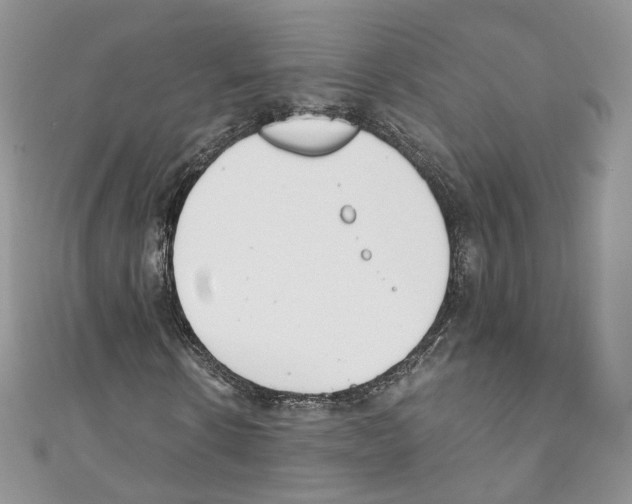 X0000110670914200907241019