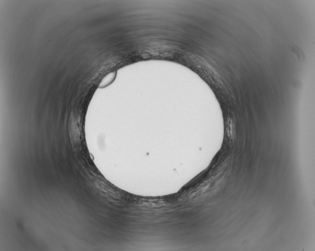 X0000110670915200907241019
