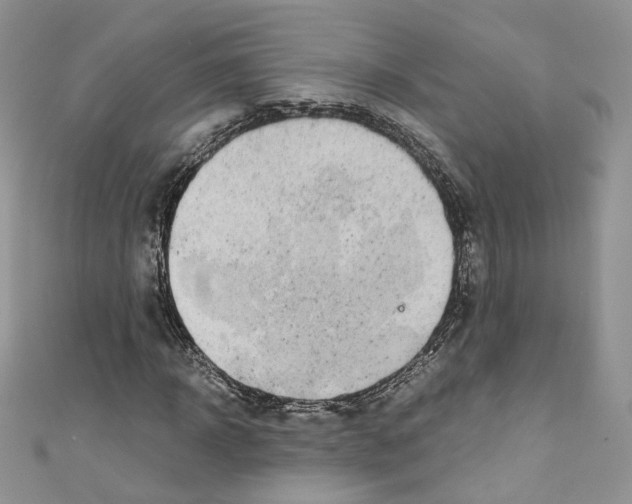 X0000110670918200907241019