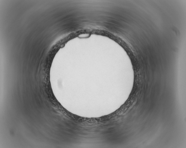 X0000110670919200907241019