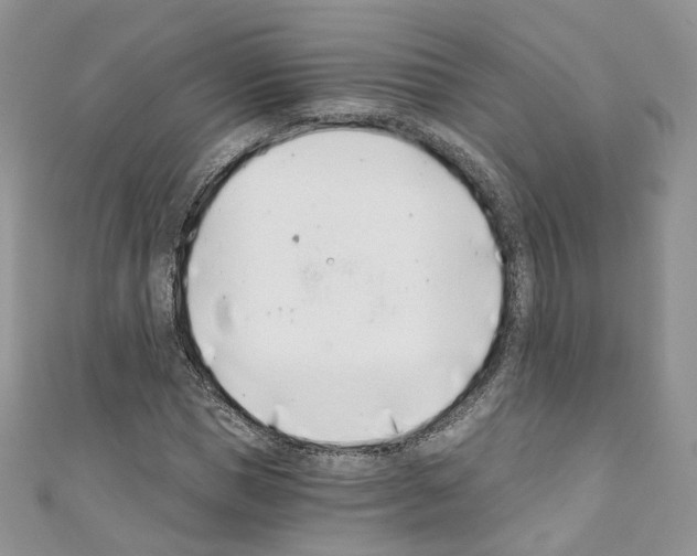 X0000110670921200907241019