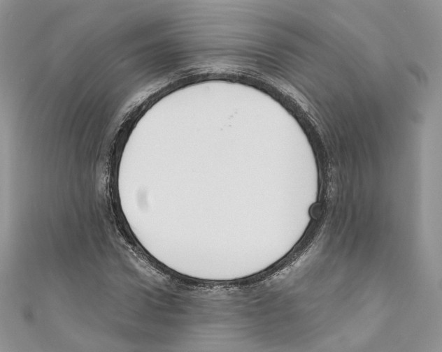 X0000110670922200907241019