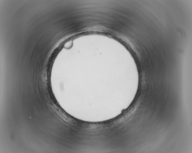 X0000110670923200907241019