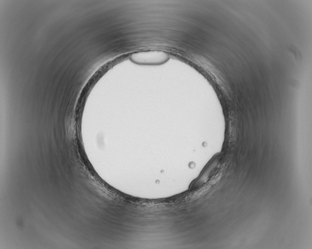 X0000110670924200907241019