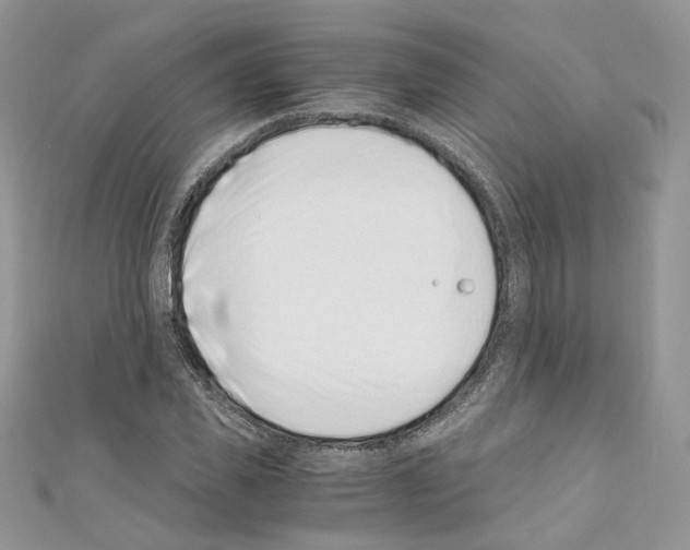 X0000110670925200907241019