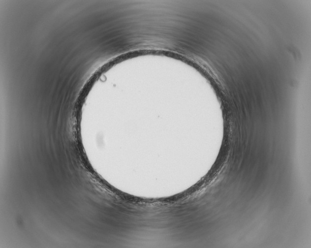 X0000110670926200907241019