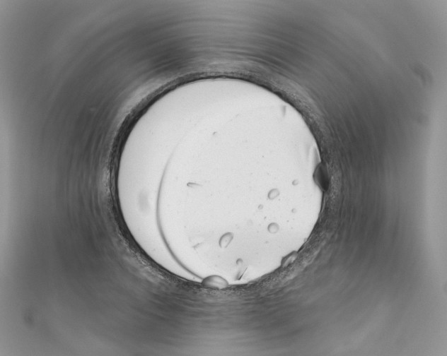 X0000110670928200907241019