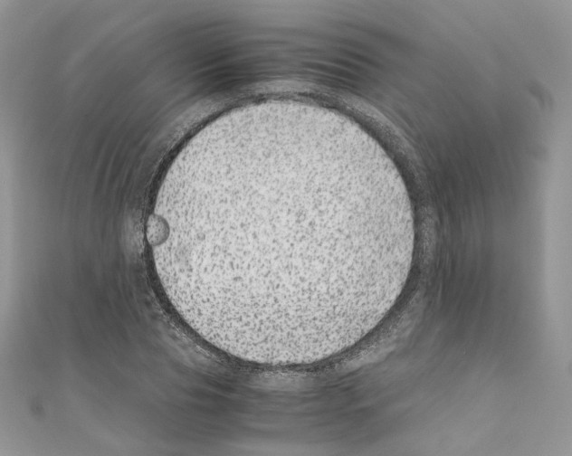 X0000110670929200907241019