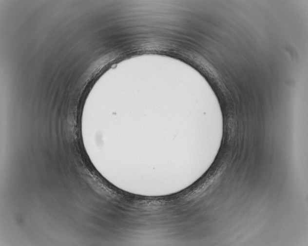 X0000110670930200907241019