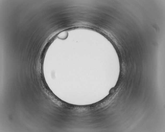 X0000110670931200907241019