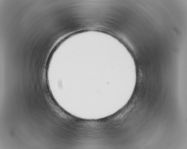 X0000110670932200907241019