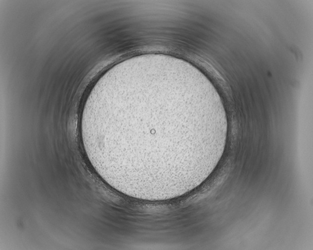 X0000110670933200907241019