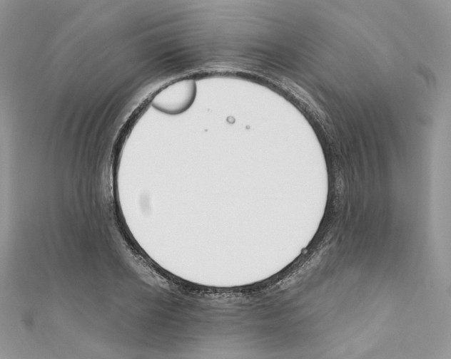 X0000110670934200907241019