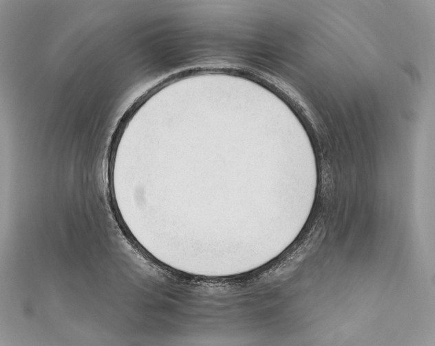X0000110670935200907241019
