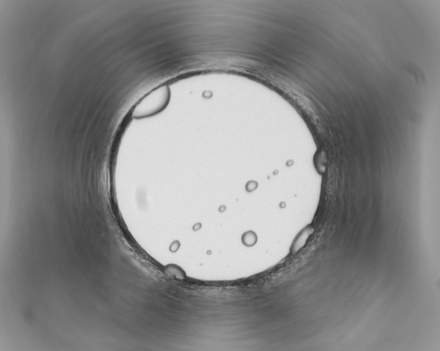 X0000110670936200907241019