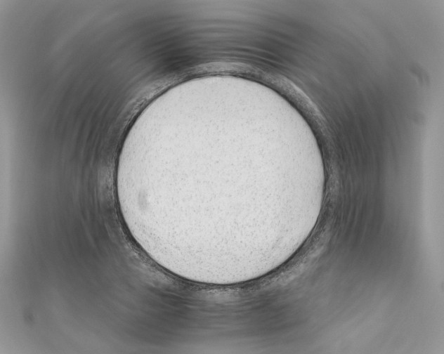 X0000110670937200907241019