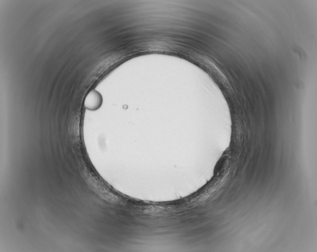 X0000110670938200907241019
