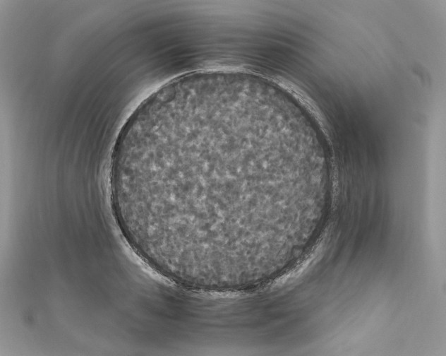 X0000110670941200907241019