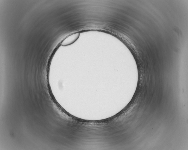 X0000110670942200907241019