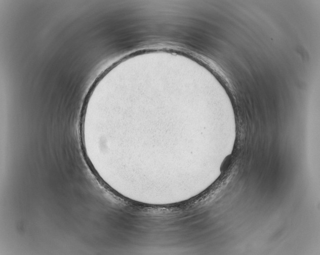 X0000110670943200907241019