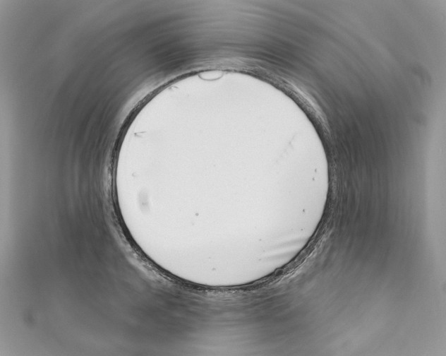 X0000110670944200907241019