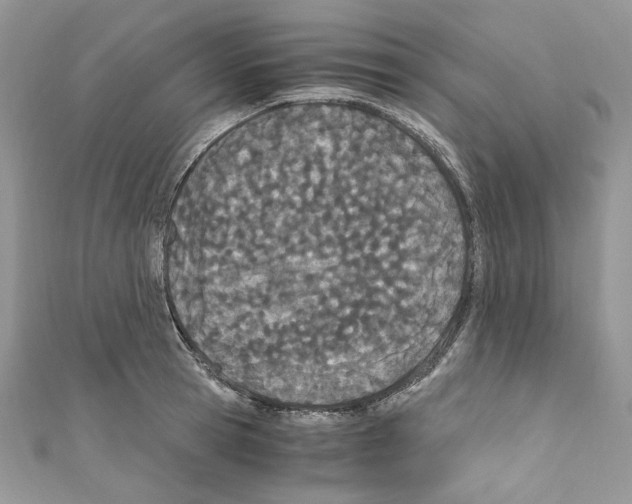 X0000110670945200907241019