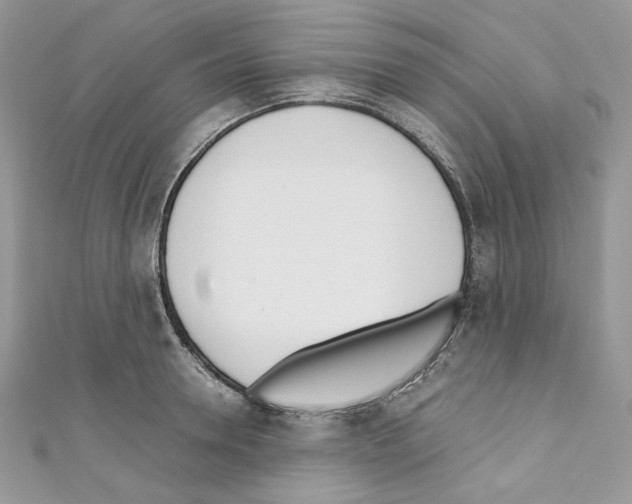 X0000110670946200907241019