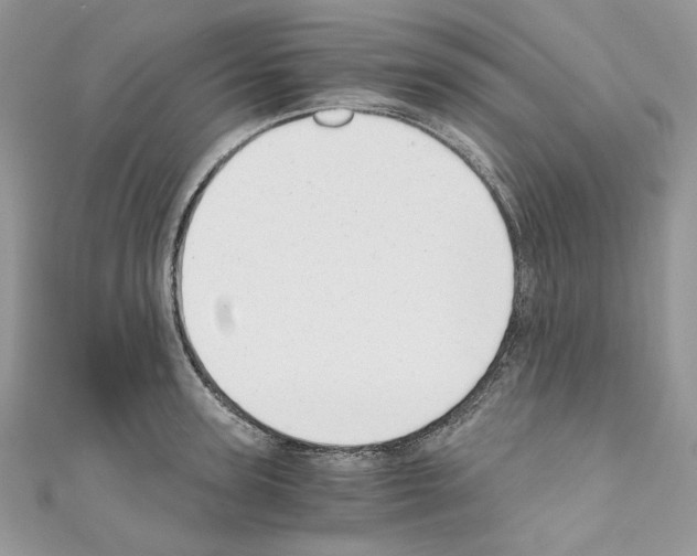 X0000110670947200907241019