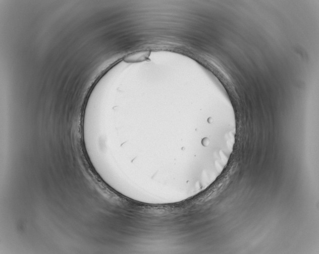 X0000110670948200907241019