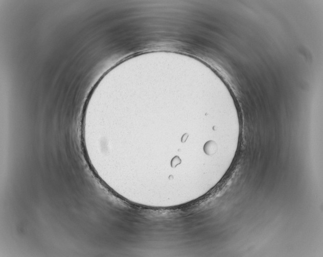 X0000110670949200907241019