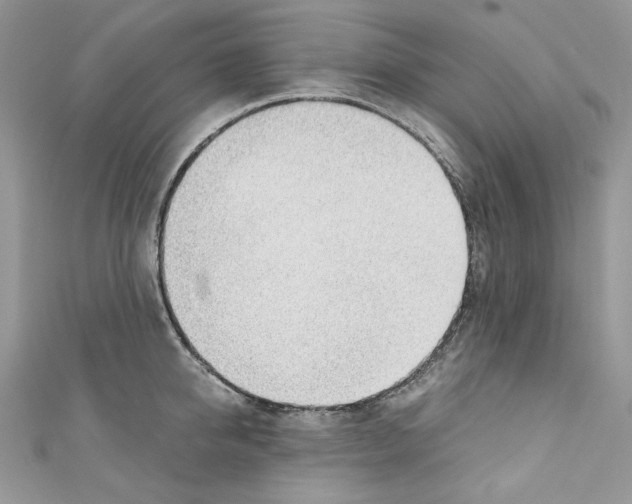 X0000110670950200907241019