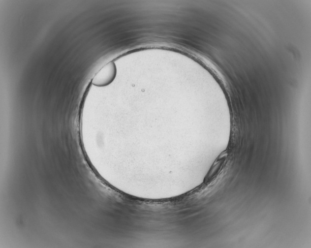 X0000110670951200907241019