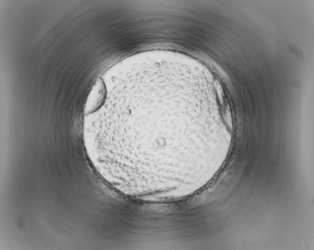 X0000110670953200907241019