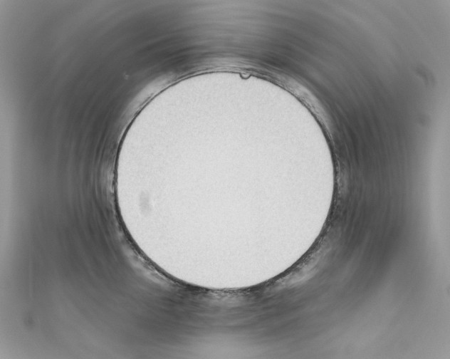 X0000110670954200907241019