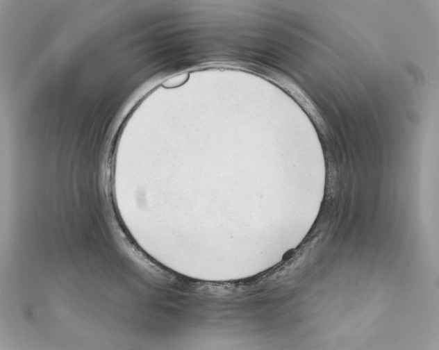 X0000110670955200907241019