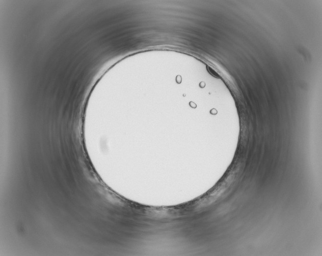 X0000110670956200907241019