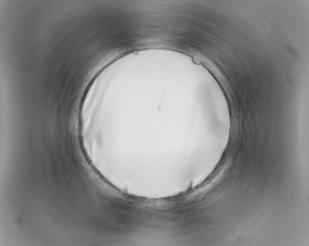 X0000110670957200907241019