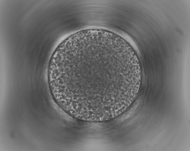 X0000110670958200907241019