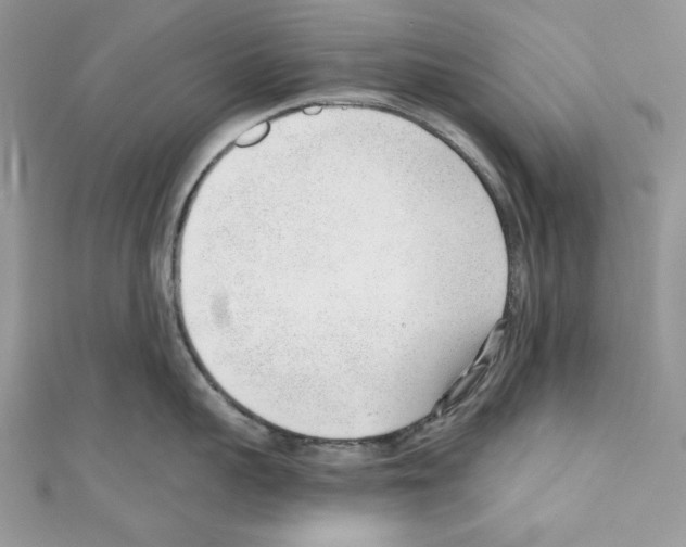 X0000110670959200907241019