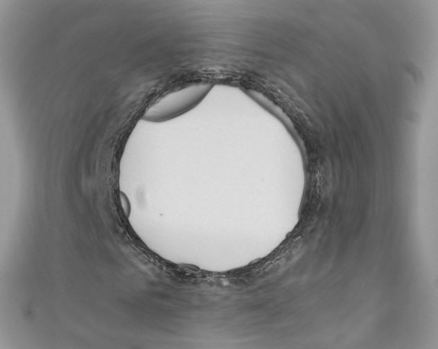 X0000110670961200907241019