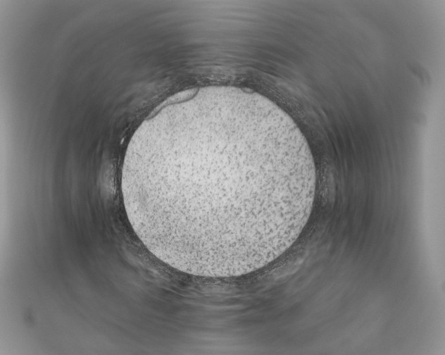 X0000110670962200907241019