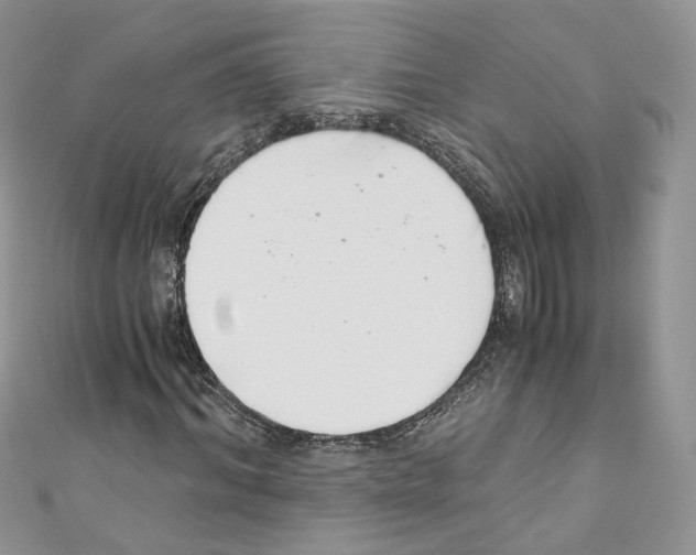 X0000110670964200907241019