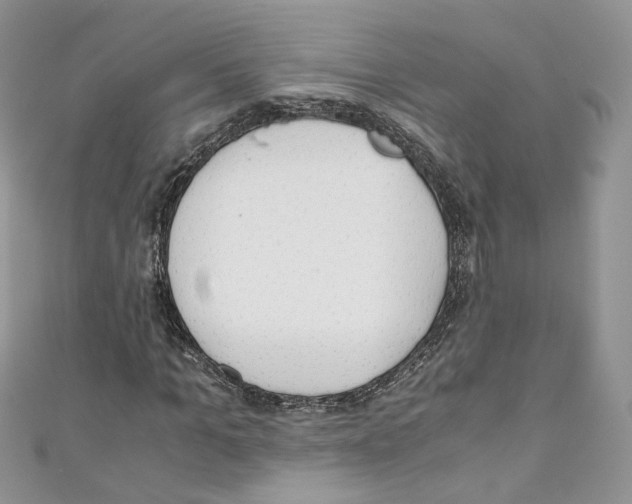 X0000110670965200907241019