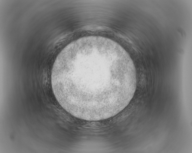 X0000110670966200907241019
