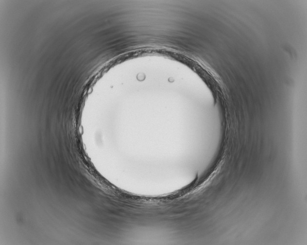 X0000110670969200907241019