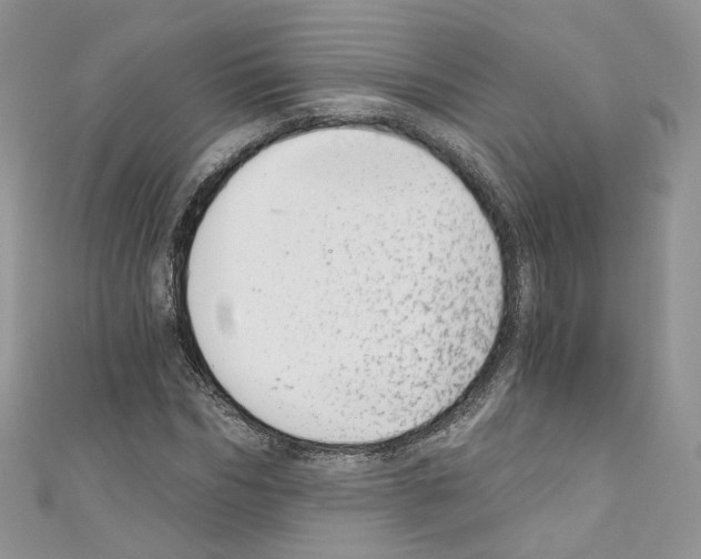 X0000110670970200907241019