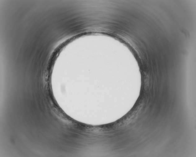X0000110670971200907241019