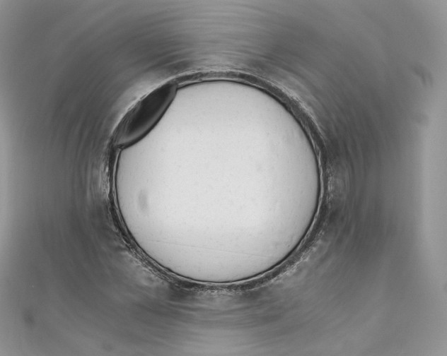 X0000110670973200907241019