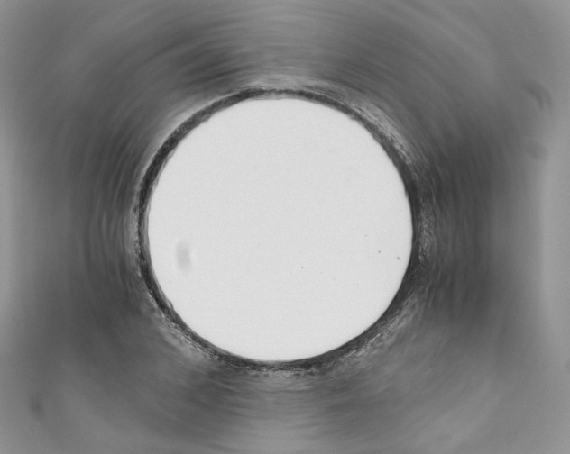 X0000110670976200907241019